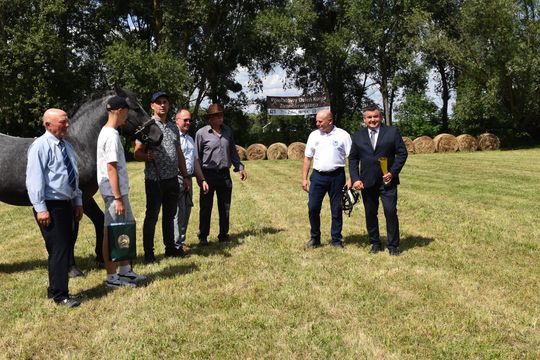 Gm. Ruda-Huta. Powiatowy Dzień Konia Zimnokrwistego w Żalinie Kolonii Cz. II [GALERIA ZDJĘĆ]