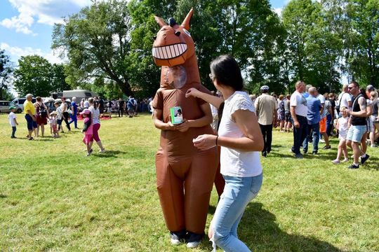 Gm. Ruda-Huta. Powiatowy Dzień Konia Zimnokrwistego w Żalinie Kolonii Cz. II [GALERIA ZDJĘĆ]