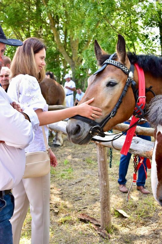 Gm. Ruda-Huta. Powiatowy Dzień Konia Zimnokrwistego w Żalinie Kolonii Cz. II [GALERIA ZDJĘĆ]