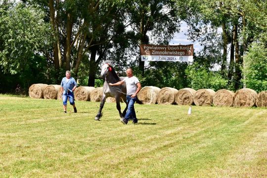 Gm. Ruda-Huta. Powiatowy Dzień Konia Zimnokrwistego w Żalinie Kolonii Cz. II [GALERIA ZDJĘĆ]