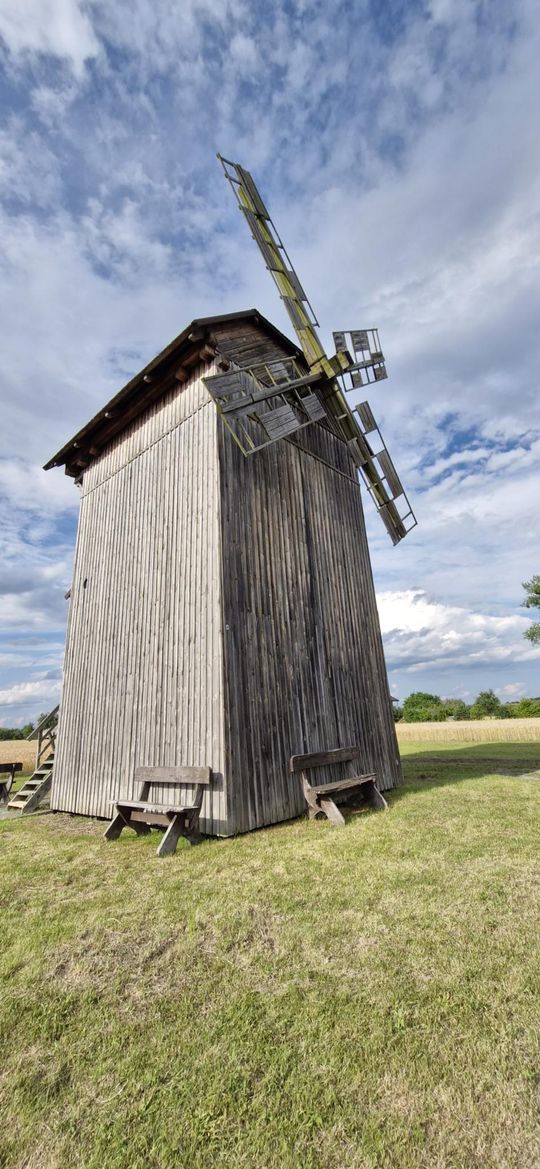 Gm. Ruda-Huta. Udany Powiatowy Dzień Konia Zimnokrwistego w Żalinie [GALERIA ZDJĘĆ]