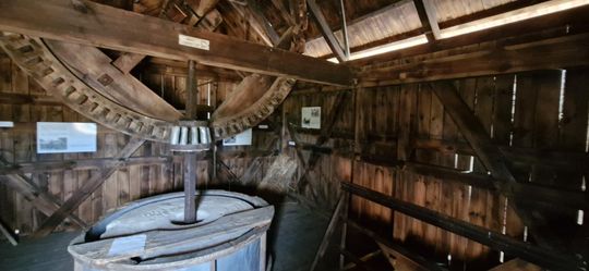 Gm. Ruda-Huta. Udany Powiatowy Dzień Konia Zimnokrwistego w Żalinie [GALERIA ZDJĘĆ]