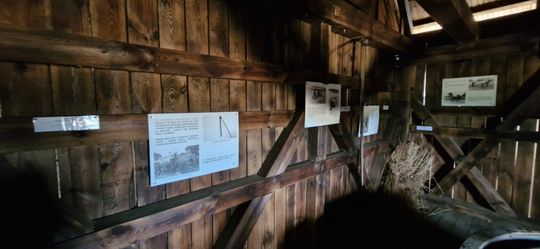 Gm. Ruda-Huta. Udany Powiatowy Dzień Konia Zimnokrwistego w Żalinie [GALERIA ZDJĘĆ]