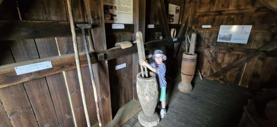 Gm. Ruda-Huta. Udany Powiatowy Dzień Konia Zimnokrwistego w Żalinie [GALERIA ZDJĘĆ]