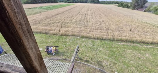 Gm. Ruda-Huta. Udany Powiatowy Dzień Konia Zimnokrwistego w Żalinie [GALERIA ZDJĘĆ]