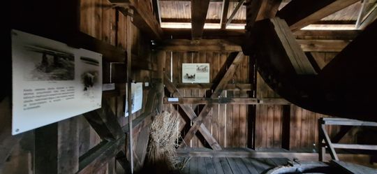 Gm. Ruda-Huta. Udany Powiatowy Dzień Konia Zimnokrwistego w Żalinie [GALERIA ZDJĘĆ]