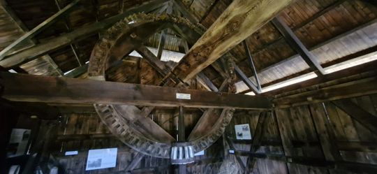 Gm. Ruda-Huta. Udany Powiatowy Dzień Konia Zimnokrwistego w Żalinie [GALERIA ZDJĘĆ]