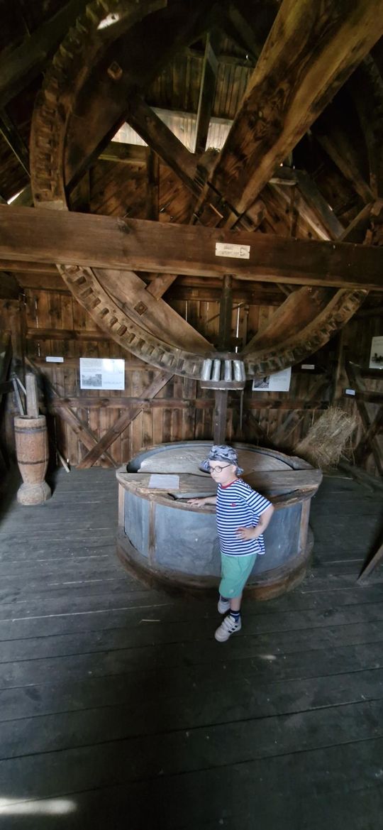 Gm. Ruda-Huta. Udany Powiatowy Dzień Konia Zimnokrwistego w Żalinie [GALERIA ZDJĘĆ]