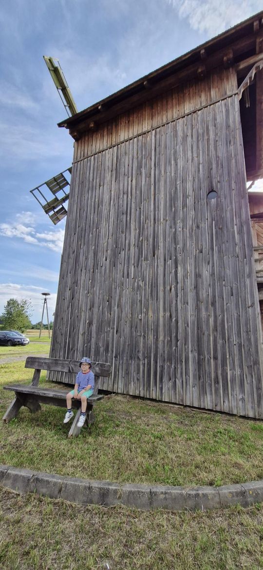 Gm. Ruda-Huta. Udany Powiatowy Dzień Konia Zimnokrwistego w Żalinie [GALERIA ZDJĘĆ]