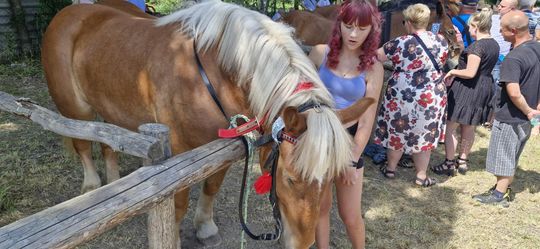 Gm. Ruda-Huta. Udany Powiatowy Dzień Konia Zimnokrwistego w Żalinie [GALERIA ZDJĘĆ]