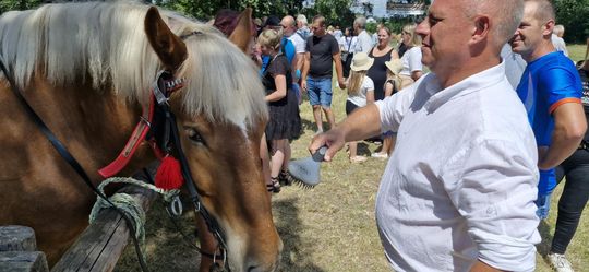 Gm. Ruda-Huta. Udany Powiatowy Dzień Konia Zimnokrwistego w Żalinie [GALERIA ZDJĘĆ]