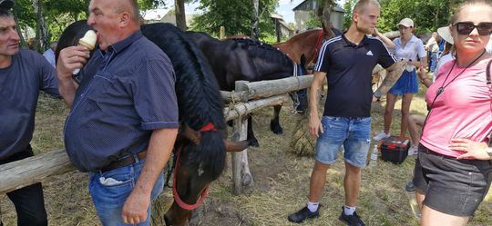Gm. Ruda-Huta. Udany Powiatowy Dzień Konia Zimnokrwistego w Żalinie [GALERIA ZDJĘĆ]