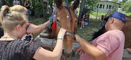Gm. Ruda-Huta. Udany Powiatowy Dzień Konia Zimnokrwistego w Żalinie [GALERIA ZDJĘĆ]