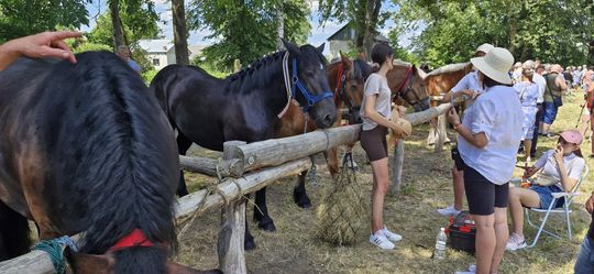Gm. Ruda-Huta. Udany Powiatowy Dzień Konia Zimnokrwistego w Żalinie [GALERIA ZDJĘĆ]