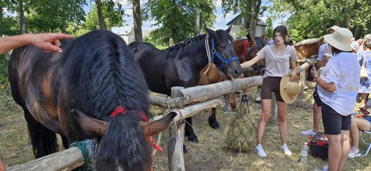 Gm. Ruda-Huta. Udany Powiatowy Dzień Konia Zimnokrwistego w Żalinie [GALERIA ZDJĘĆ]