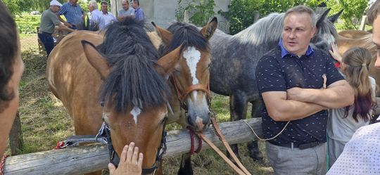 Gm. Ruda-Huta. Udany Powiatowy Dzień Konia Zimnokrwistego w Żalinie [GALERIA ZDJĘĆ]