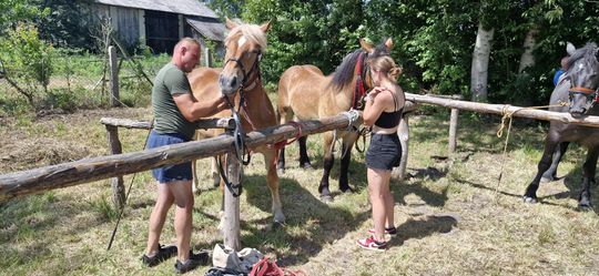 Gm. Ruda-Huta. Udany Powiatowy Dzień Konia Zimnokrwistego w Żalinie [GALERIA ZDJĘĆ]