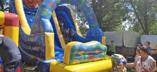 Gm. Ruda-Huta. Udany Powiatowy Dzień Konia Zimnokrwistego w Żalinie [GALERIA ZDJĘĆ]