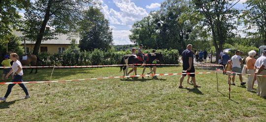 Gm. Ruda-Huta. Udany Powiatowy Dzień Konia Zimnokrwistego w Żalinie [GALERIA ZDJĘĆ]