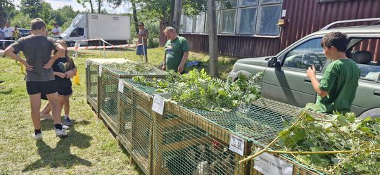 Gm. Ruda-Huta. Udany Powiatowy Dzień Konia Zimnokrwistego w Żalinie [GALERIA ZDJĘĆ]