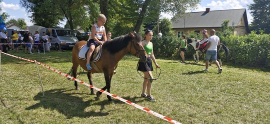 Gm. Ruda-Huta. Udany Powiatowy Dzień Konia Zimnokrwistego w Żalinie [GALERIA ZDJĘĆ]