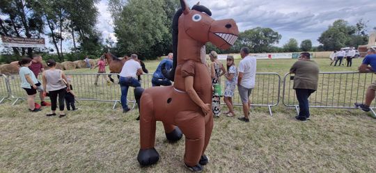 Gm. Ruda-Huta. Udany Powiatowy Dzień Konia Zimnokrwistego w Żalinie [GALERIA ZDJĘĆ]