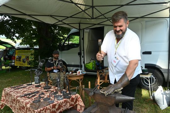 Gm. Wojsławice. XVIII Dni Jakuba Wędrowycza. Działo się! Prelekcje, konkursy, gry i bitwy cz. II [GALERIA ZDJĘĆ]