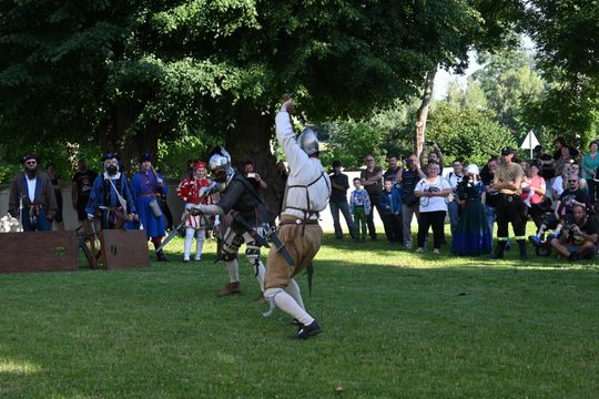 Gm. Wojsławice. XVIII Dni Jakuba Wędrowycza. Działo się! Prelekcje, konkursy, gry i bitwy cz. II [GALERIA ZDJĘĆ]