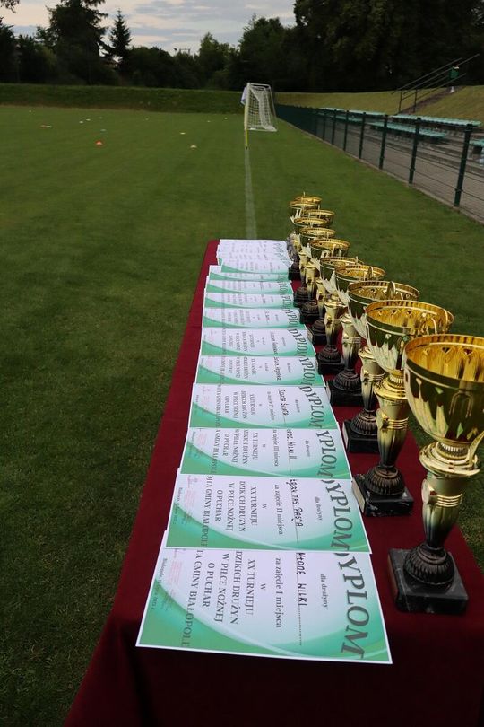 XX Turniej Dzikich Drużyn W Piłce Nożnej o Puchar Wójta Gminy Białopole [GAERIA ZDJĘĆ]