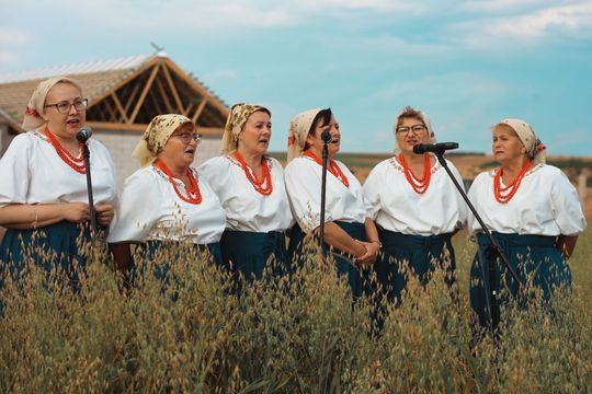 Gm. Leśniowice. Udane Żniwowanie na Maczułach. Tradycja, kultura, dobra zabawa [GALERIA ZDJĘĆ]