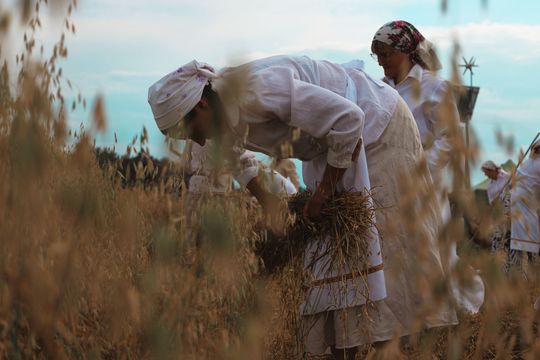 Gm. Leśniowice. Udane Żniwowanie na Maczułach. Tradycja, kultura, dobra zabawa [GALERIA ZDJĘĆ]