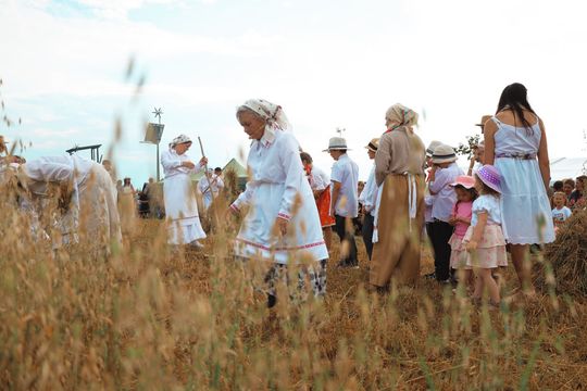 Gm. Leśniowice. Udane Żniwowanie na Maczułach. Tradycja, kultura, dobra zabawa [GALERIA ZDJĘĆ]
