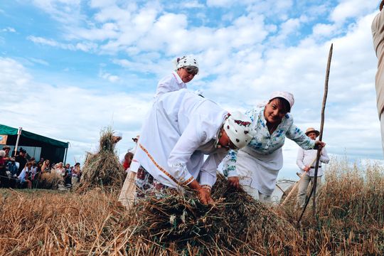 Gm. Leśniowice. Udane Żniwowanie na Maczułach. Tradycja, kultura, dobra zabawa [GALERIA ZDJĘĆ]