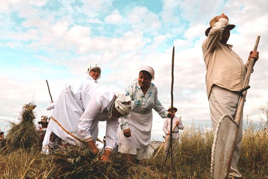 Gm. Leśniowice. Udane Żniwowanie na Maczułach. Tradycja, kultura, dobra zabawa [GALERIA ZDJĘĆ]