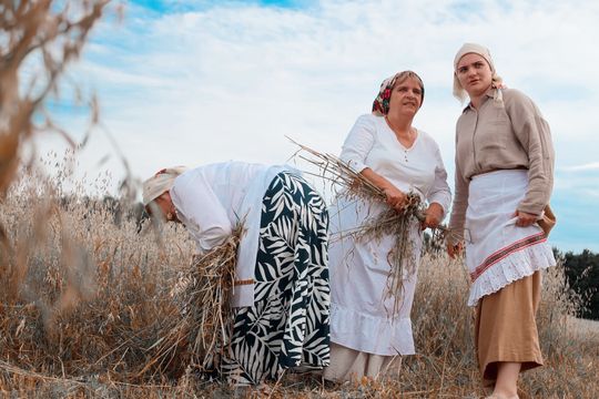 Gm. Leśniowice. Udane Żniwowanie na Maczułach. Tradycja, kultura, dobra zabawa [GALERIA ZDJĘĆ]