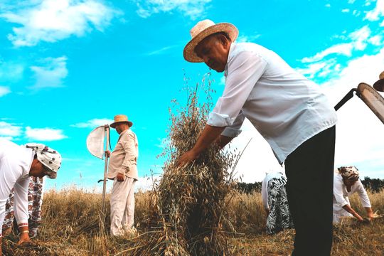 Gm. Leśniowice. Udane Żniwowanie na Maczułach. Tradycja, kultura, dobra zabawa [GALERIA ZDJĘĆ]