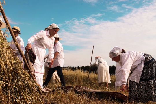 Gm. Leśniowice. Udane Żniwowanie na Maczułach. Tradycja, kultura, dobra zabawa [GALERIA ZDJĘĆ]