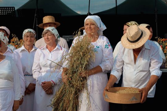 Gm. Leśniowice. Udane Żniwowanie na Maczułach. Tradycja, kultura, dobra zabawa [GALERIA ZDJĘĆ]