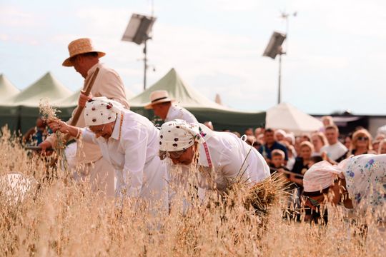 Gm. Leśniowice. Udane Żniwowanie na Maczułach. Tradycja, kultura, dobra zabawa [GALERIA ZDJĘĆ]