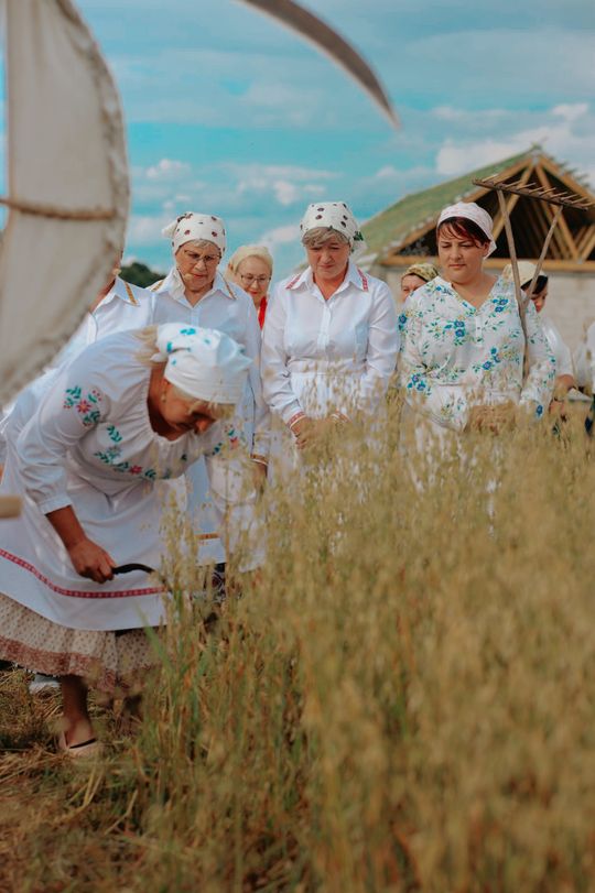 Gm. Leśniowice. Udane Żniwowanie na Maczułach. Tradycja, kultura, dobra zabawa [GALERIA ZDJĘĆ]