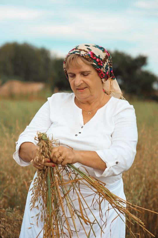 Gm. Leśniowice. Udane Żniwowanie na Maczułach. Tradycja, kultura, dobra zabawa [GALERIA ZDJĘĆ]