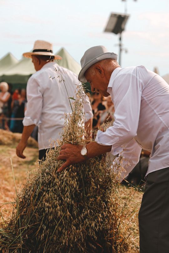 Gm. Leśniowice. Udane Żniwowanie na Maczułach. Tradycja, kultura, dobra zabawa [GALERIA ZDJĘĆ]