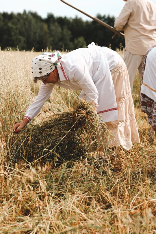 Gm. Leśniowice. Udane Żniwowanie na Maczułach. Tradycja, kultura, dobra zabawa [GALERIA ZDJĘĆ]