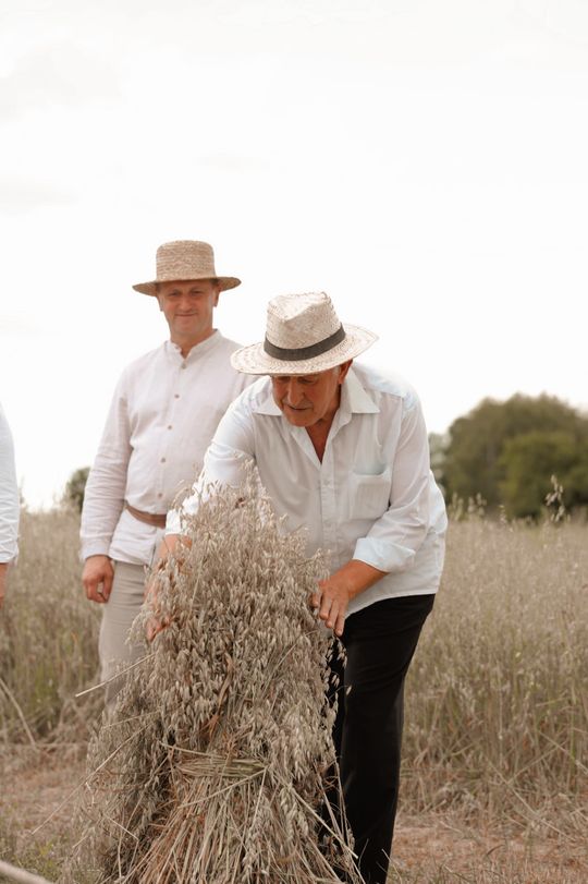 Gm. Leśniowice. Udane Żniwowanie na Maczułach. Tradycja, kultura, dobra zabawa [GALERIA ZDJĘĆ]
