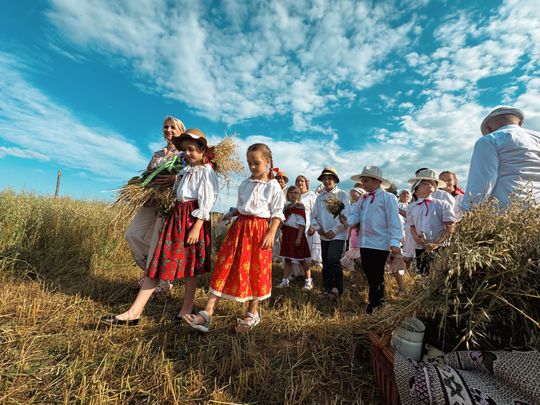 Gm. Leśniowice. Udane Żniwowanie na Maczułach. Tradycja, kultura, dobra zabawa [GALERIA ZDJĘĆ]