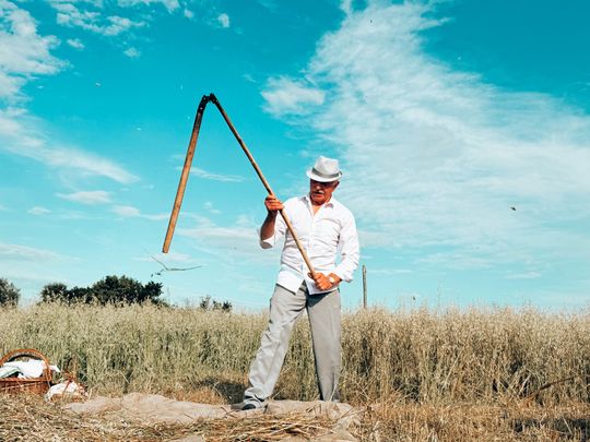 Gm. Leśniowice. Udane Żniwowanie na Maczułach. Tradycja, kultura, dobra zabawa [GALERIA ZDJĘĆ]