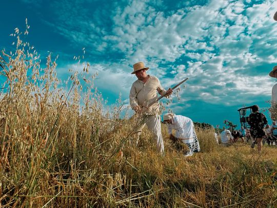 Gm. Leśniowice. Udane Żniwowanie na Maczułach. Tradycja, kultura, dobra zabawa [GALERIA ZDJĘĆ]