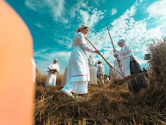 Gm. Leśniowice. Udane Żniwowanie na Maczułach. Tradycja, kultura, dobra zabawa [GALERIA ZDJĘĆ]