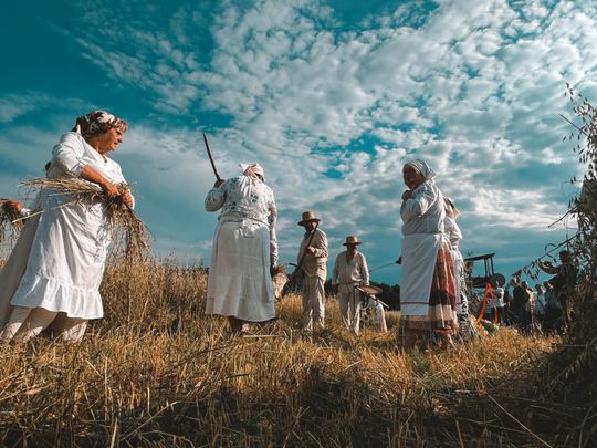 Gm. Leśniowice. Udane Żniwowanie na Maczułach. Tradycja, kultura, dobra zabawa [GALERIA ZDJĘĆ]