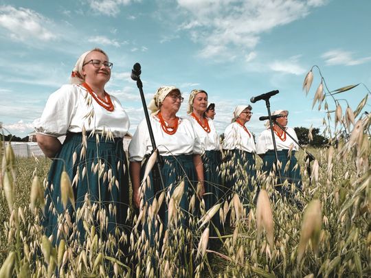 Gm. Leśniowice. Udane Żniwowanie na Maczułach. Tradycja, kultura, dobra zabawa [GALERIA ZDJĘĆ]